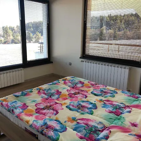 Relax Tsigov Chark